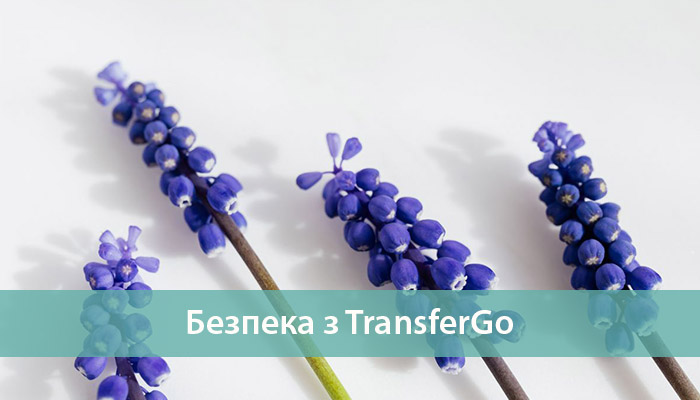 безпека з transfergo