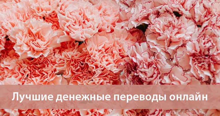 лучшие денежные переводы