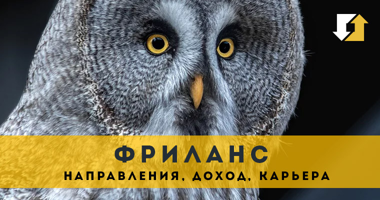 Фриланс: направления, доход, карьера