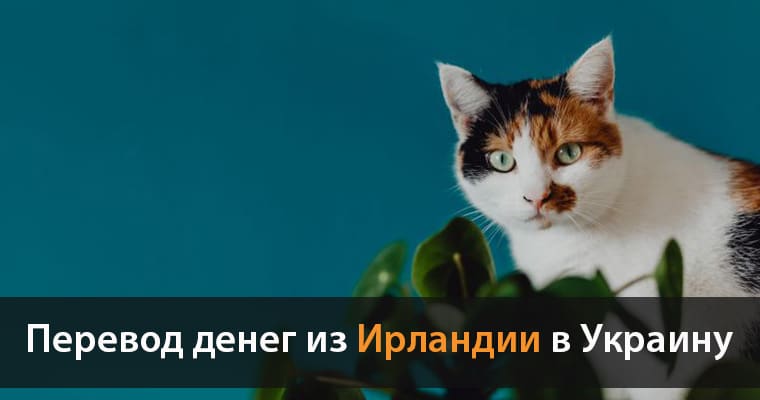 Перевести деньги из Ирландии в Украину
