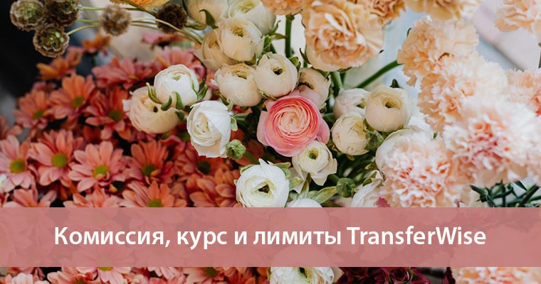 комиссии трансфервайс