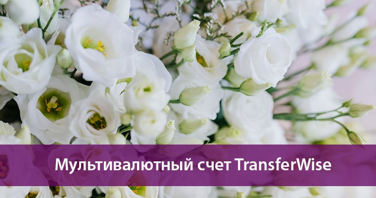 мультивалютный счет трансфервайс