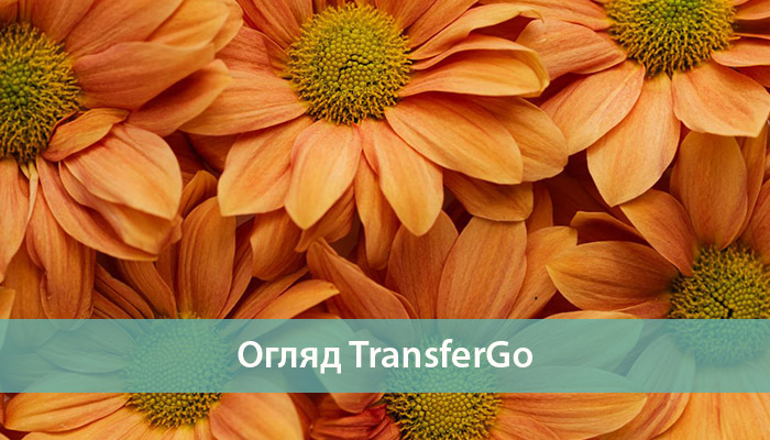 Грошові перекази TransferGo