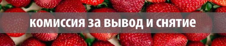 Payoneer и ПриватБанк: комиссия