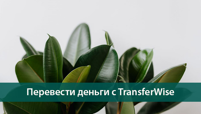 обзор денежных переводов TransferWise