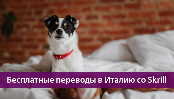 Skrill предлагает бесплатные денежные переводы в Италию