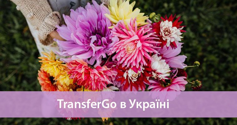 детальний огляд transfergo огляд transfergo в україні