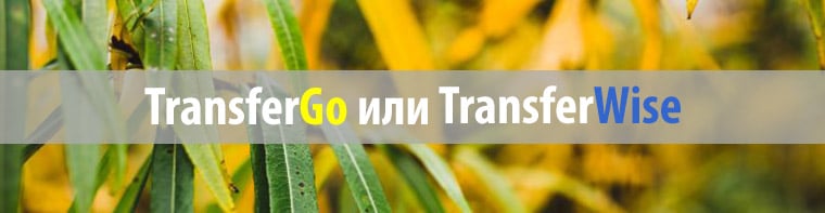 transfergo или transferwise