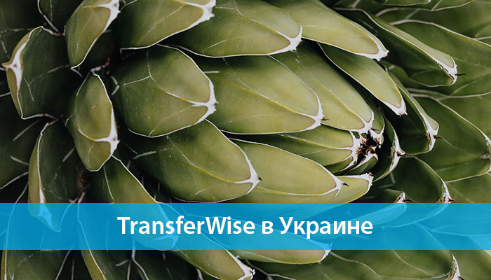 transferwise в украине