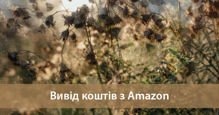 Як вигідно вивести гроші з Amazon вивести гроші з Amazon